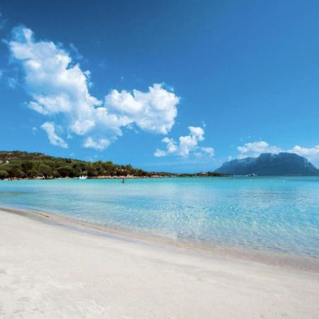 Appartamento Mare Olbia - Murta Maria Dış mekan fotoğraf