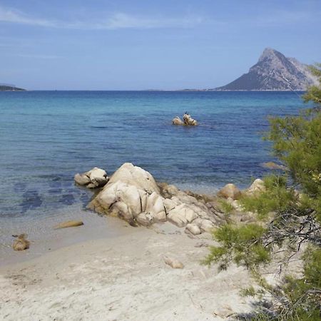 Appartamento Mare Olbia - Murta Maria Dış mekan fotoğraf